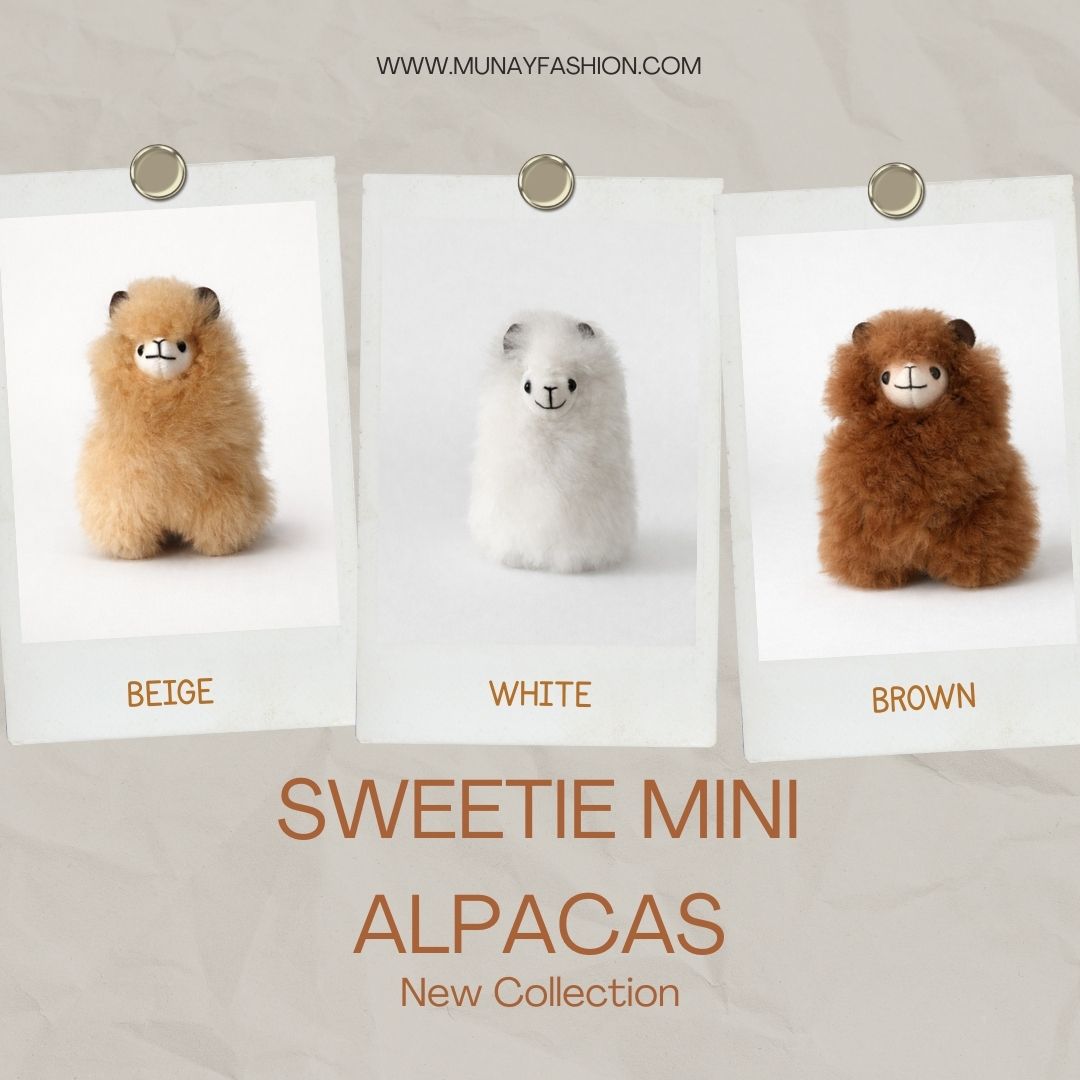 Sweetie Mini Alpacas
