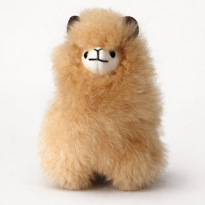 Sweetie Alpaca
