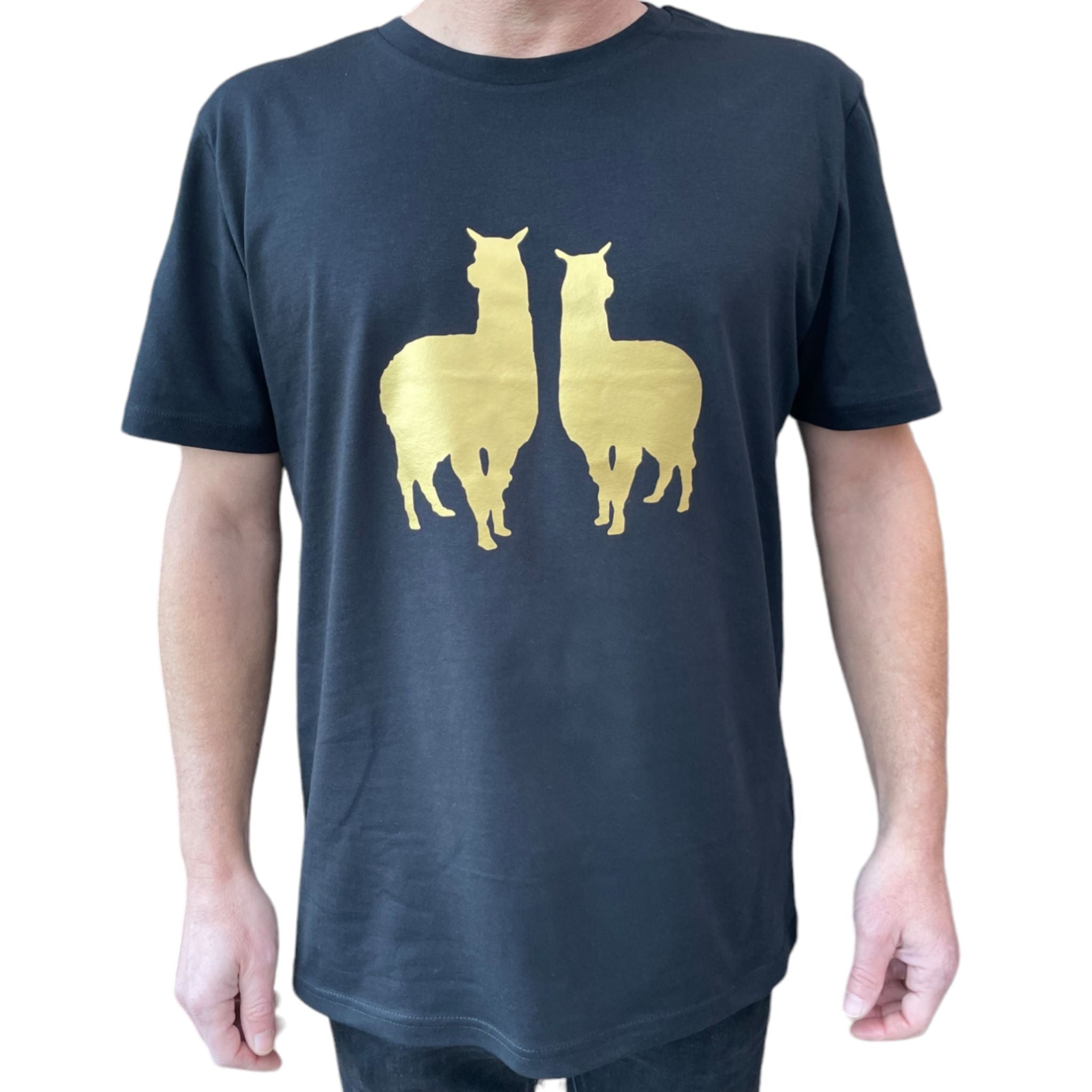Alpacas
