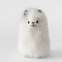 Sweetie Alpaca