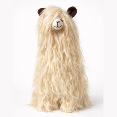 Suri Alpaca