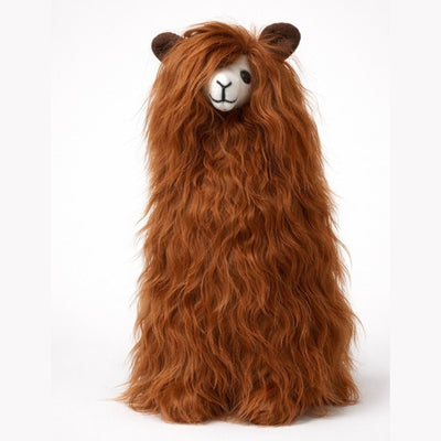 Suri Alpaca