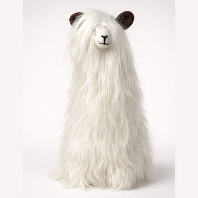 Suri Alpaca